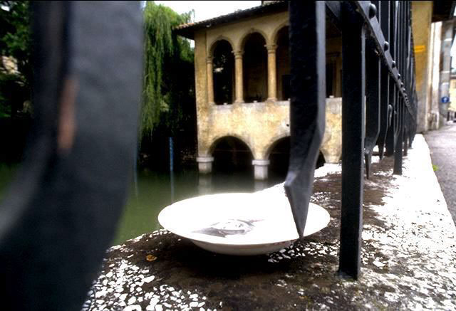 Memorie, 1995