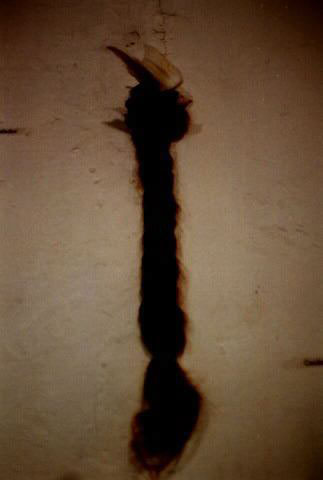Della seduzione, 1994
