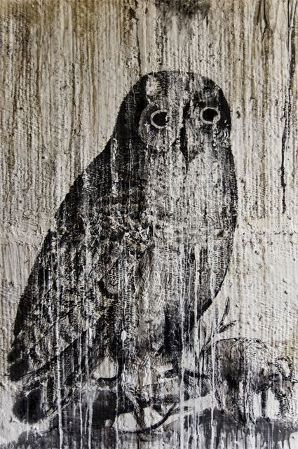 I tre punti #4, owl, 2010
