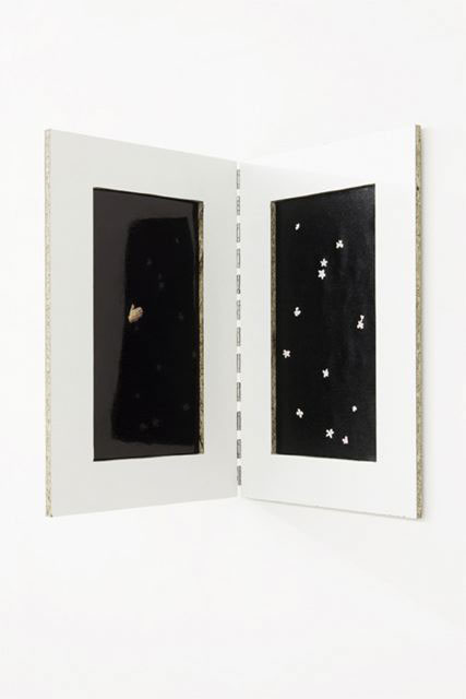 Segulah III, 2008-2009
