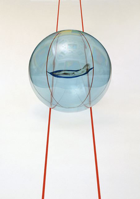 Progetto su rette parallele, 2003