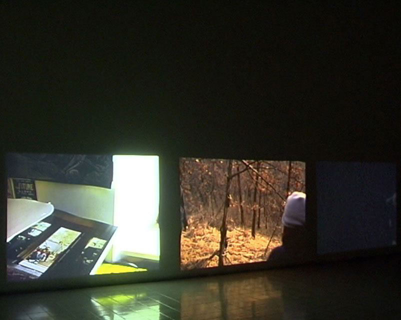 Whalesland – Branching Three in One, 2005-2006