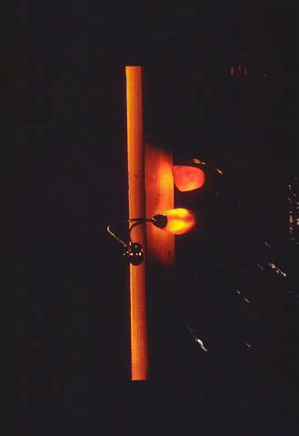 Errore vertebrale, 1996