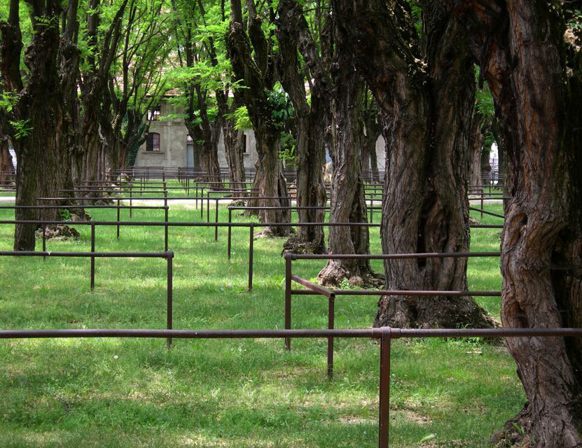 Senza titolo, 2005