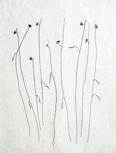 Fragili fiori, 2006