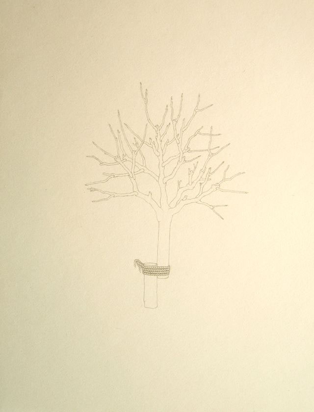 LAZG_26