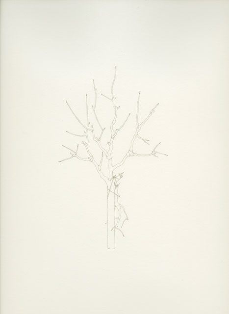 Senza titolo, 2009