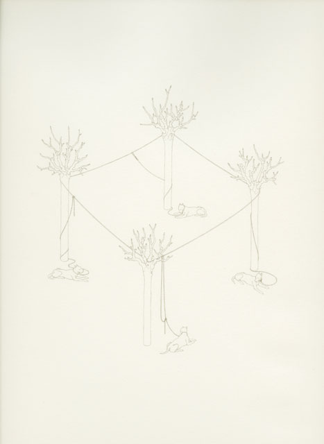 Senza titolo, 2009