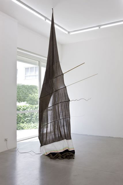 Camuffamento o nota esotica, 2010
