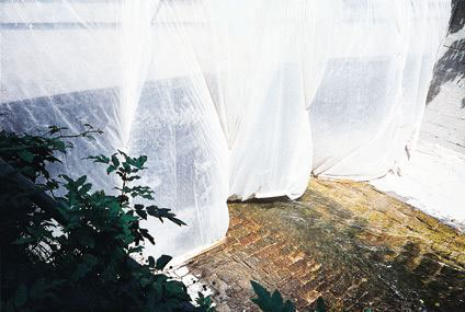 Senza titolo, 1995