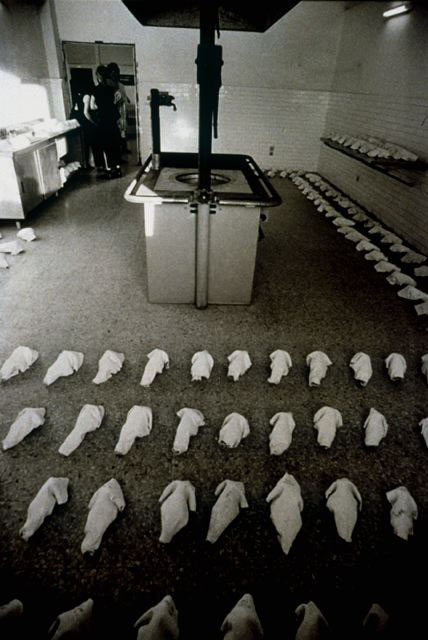 Eurotopi ’98, 1998