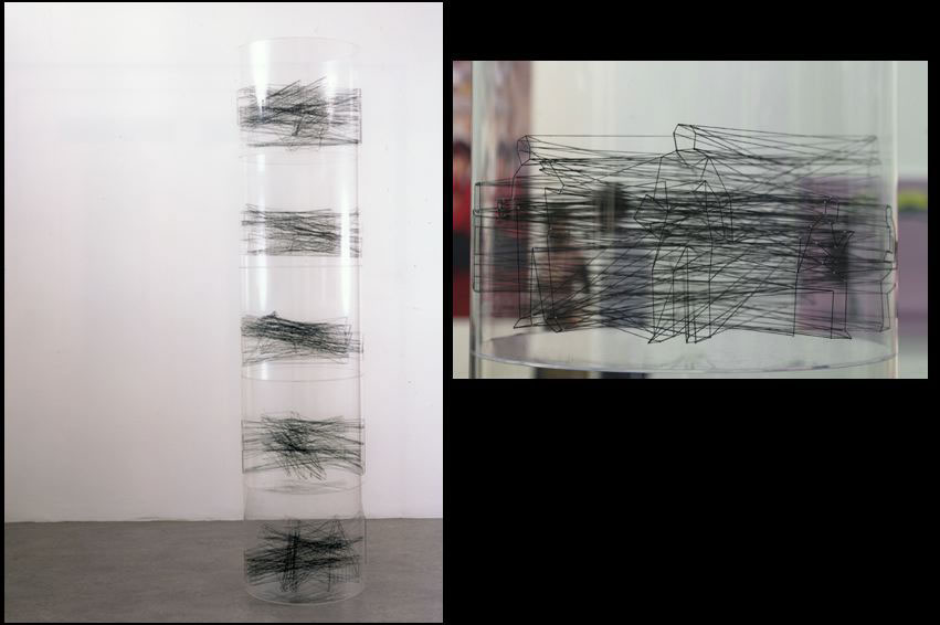 Niente da nascondere, 2002