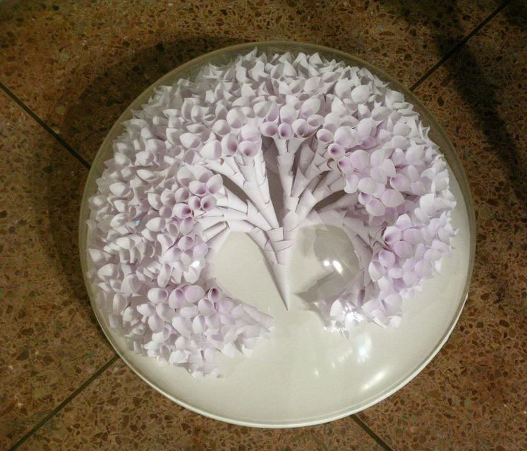 Senza titolo, 2005