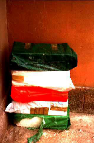 Forza Italia, 1991
