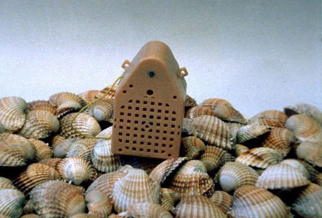Senza titolo, 1994
