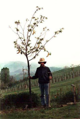 Senza titolo, 1995