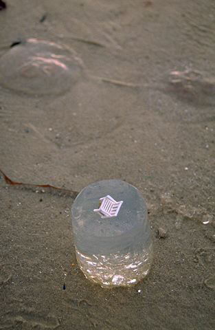 Meerstück, 1995