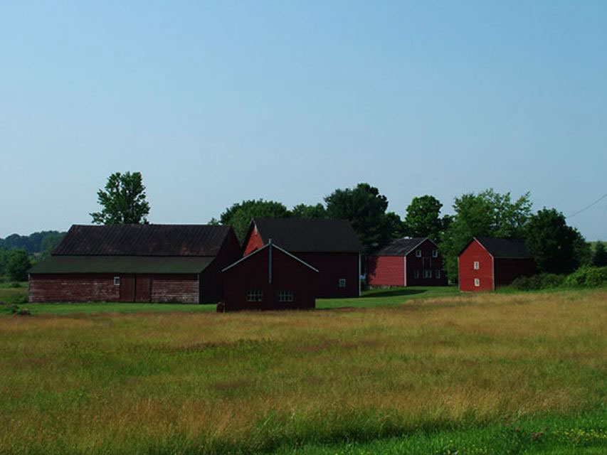 Barn, 2005