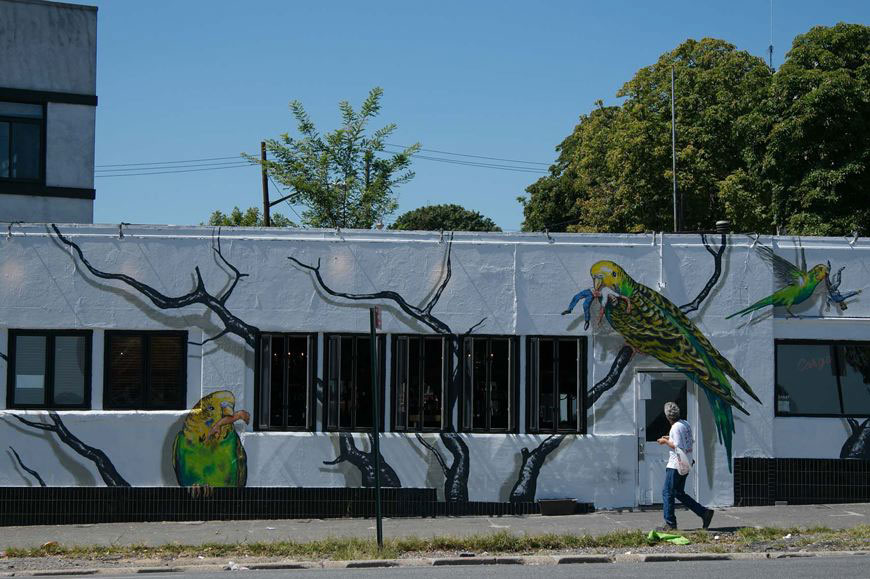 Parrots eat man, 2007