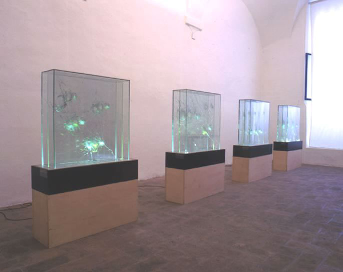 Bersagli, 1990