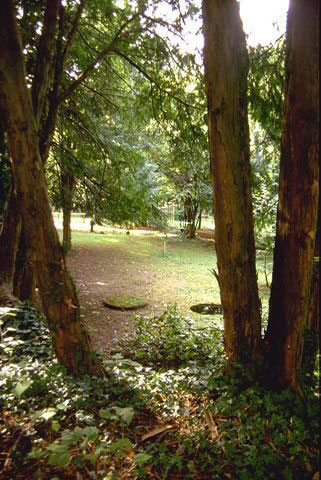 Carotaggio, 1994