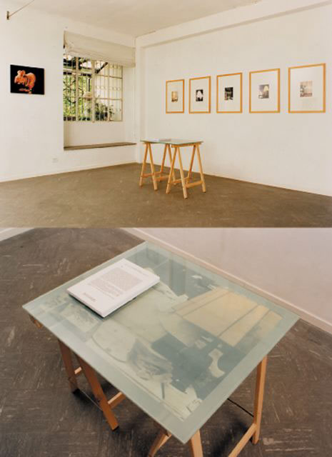 Lampenkollektion, 1995-1996