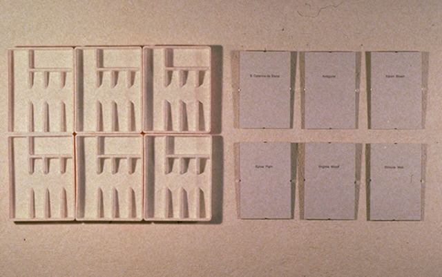La scelta morale, 1996