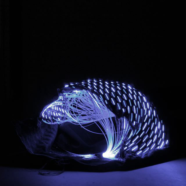 in_tent, 2005