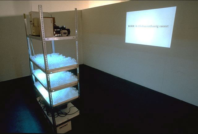 Eppendorfmania, 1995