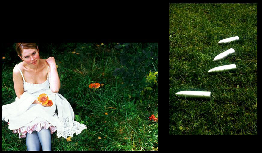 Fruits of the wood, 2001