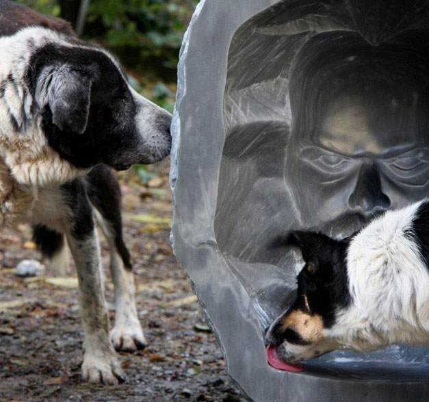 Action of Recovery, 2008