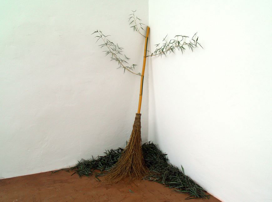 Fall (bamboos are sempervirens), 2008