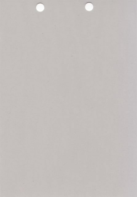 Senza titolo (RAL 7038, Teatro S. Domenico Crema), 2007