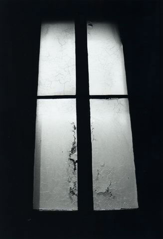 Buon giorno maestà, 1989