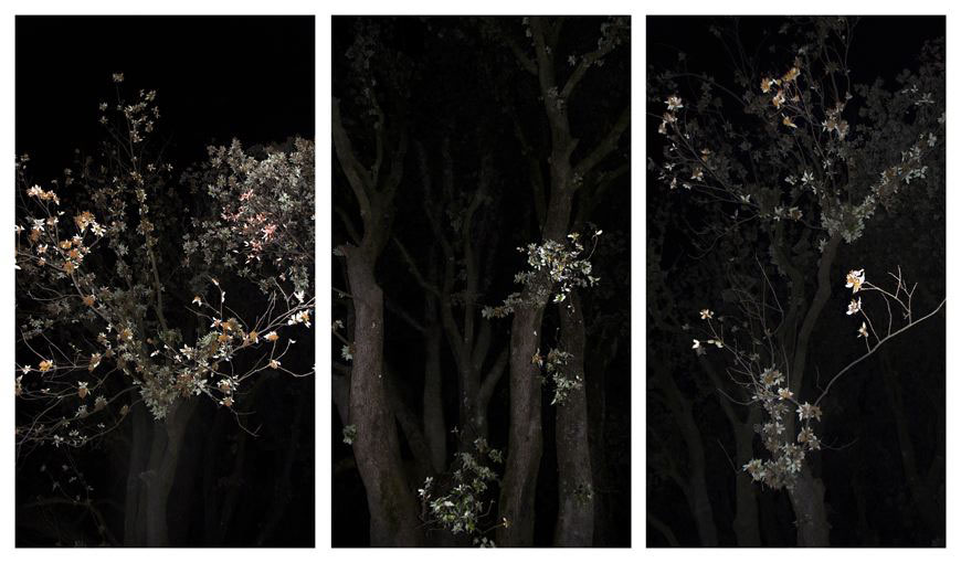 Omnia Munda Mundis , 2008