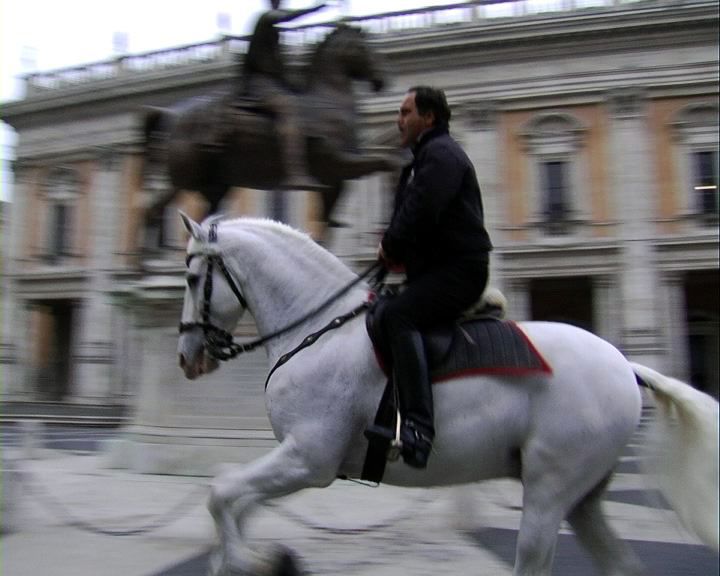 Untitled (Thoroughbred), 2010