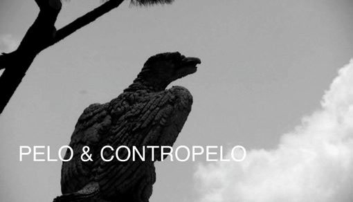 Pelo & Contropelo, 2007
