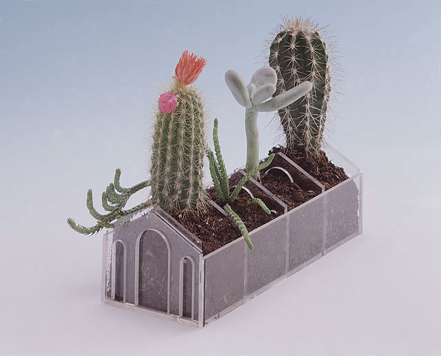 Ex magazzini del sale con cactus, 1992
