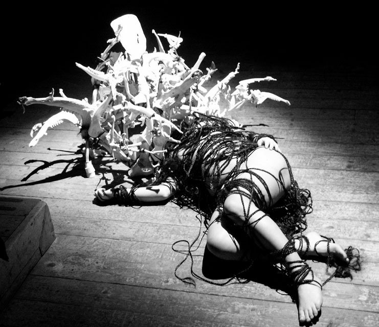 Bound, 2007