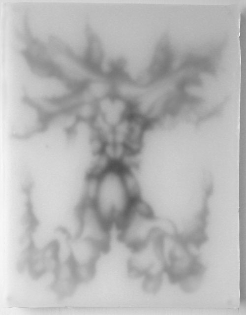 Diatomea 7, 2005