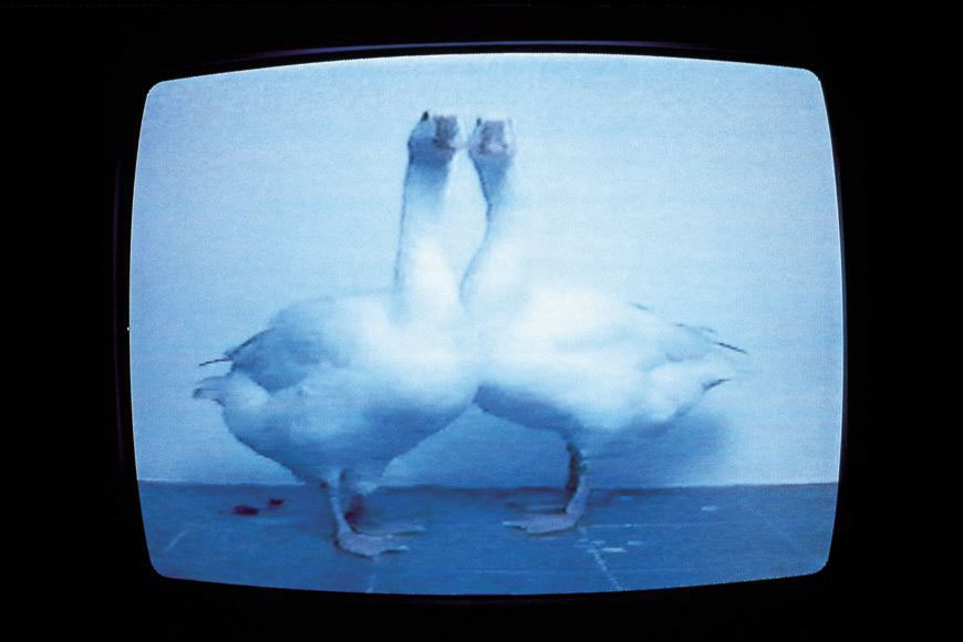 Senza titolo, 1995