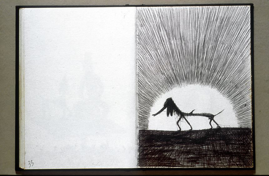 La paura del cane, 1998/99