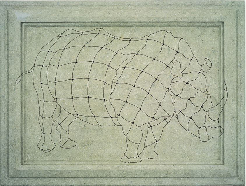 Rino, 2000