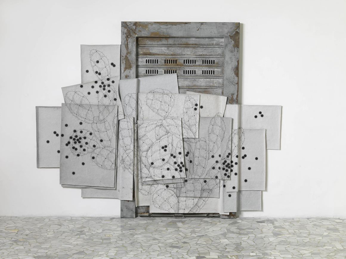 Public invasion, 2009