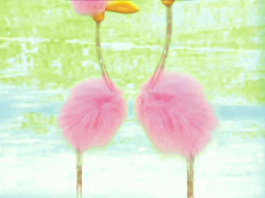 Flamingoes, 2004