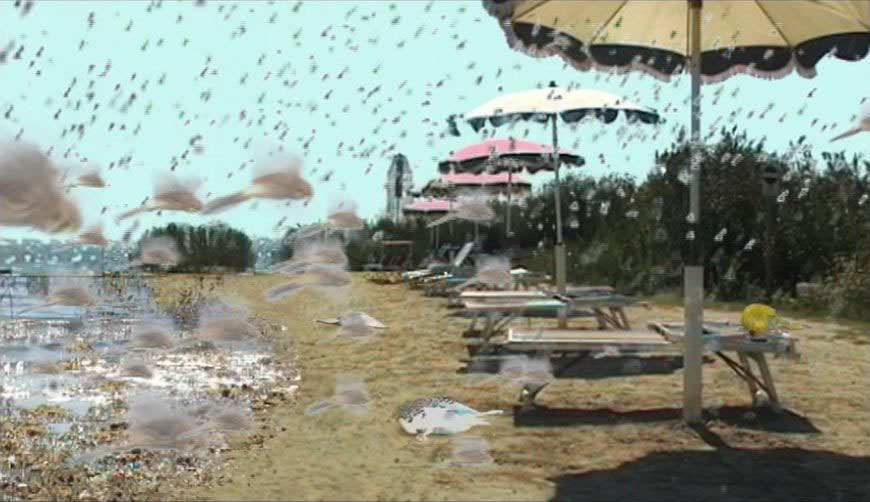 Bras, 2007