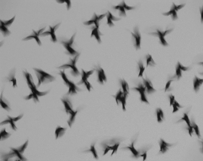 Onde altissime, 2003