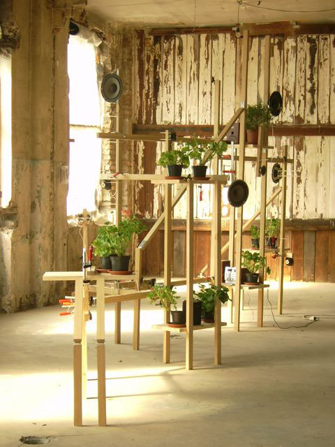 Art’s house, 2007