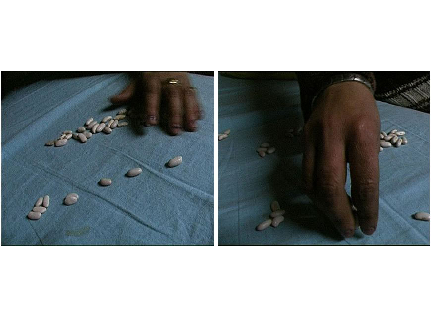 41 fagioli, 2003