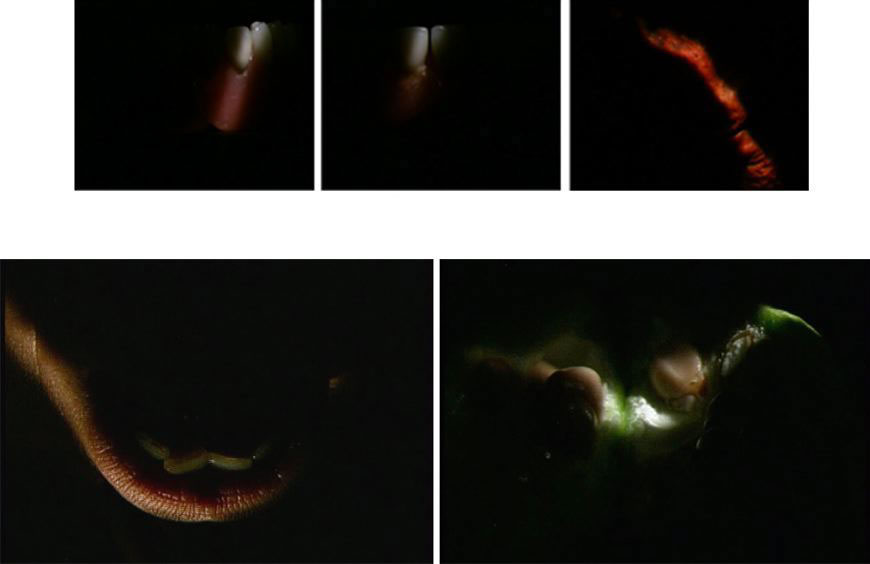 Lumen, 2006